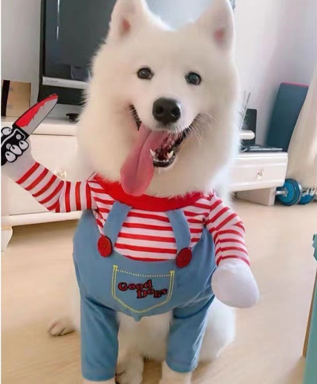 Killer Doll Style Dog Costume Striped Shirt with Overalls and Knife Accessory